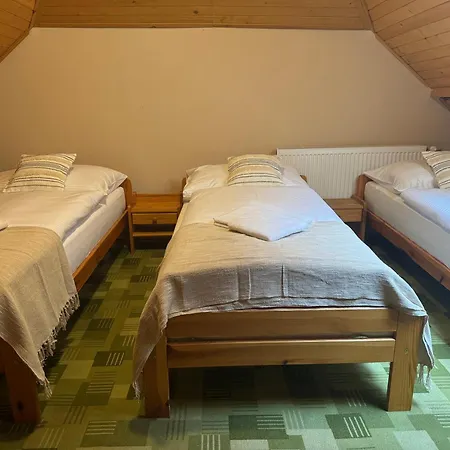 Orman Evi Sabinka Pri Jazere