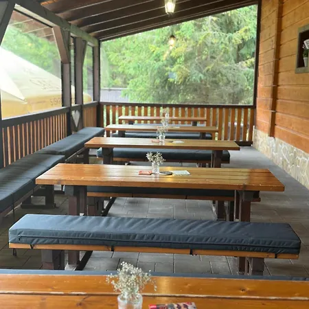 Orman Evi Sabinka Pri Jazere